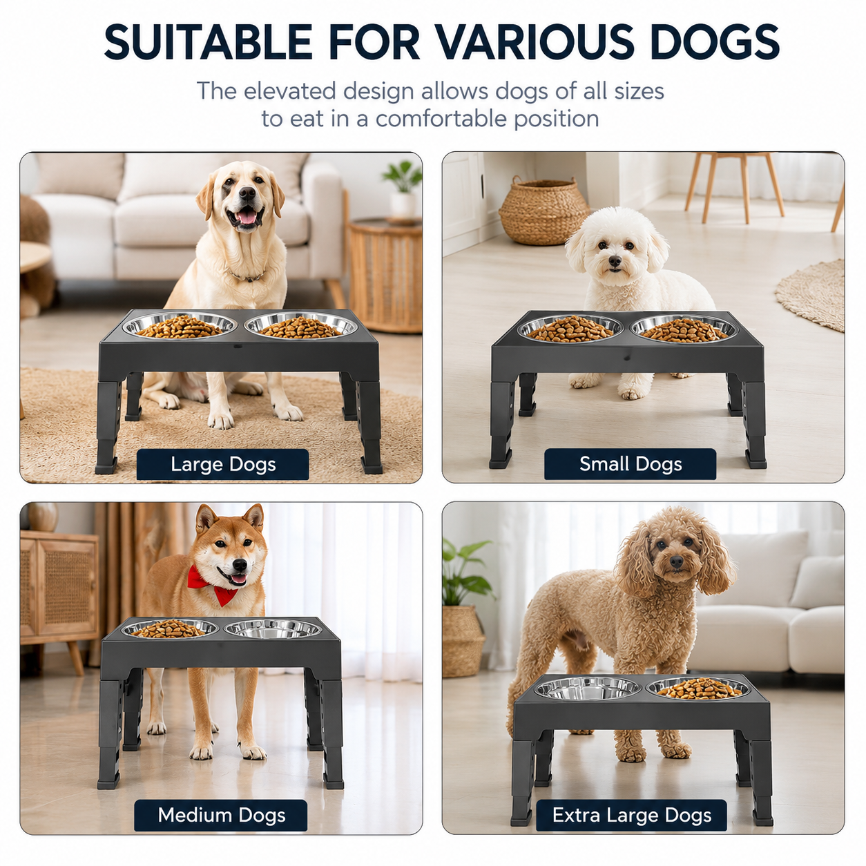 Adjustable Dog Feeding Station