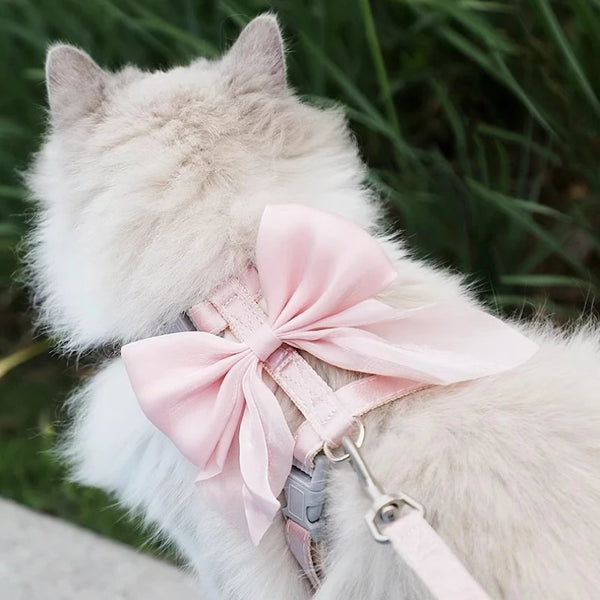 Chic Bowknot Cat Harness Set