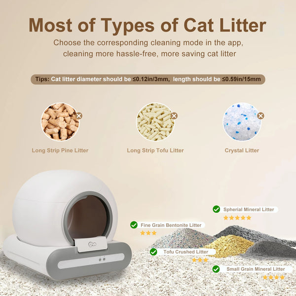 Smart Kitty Litter Box Magic