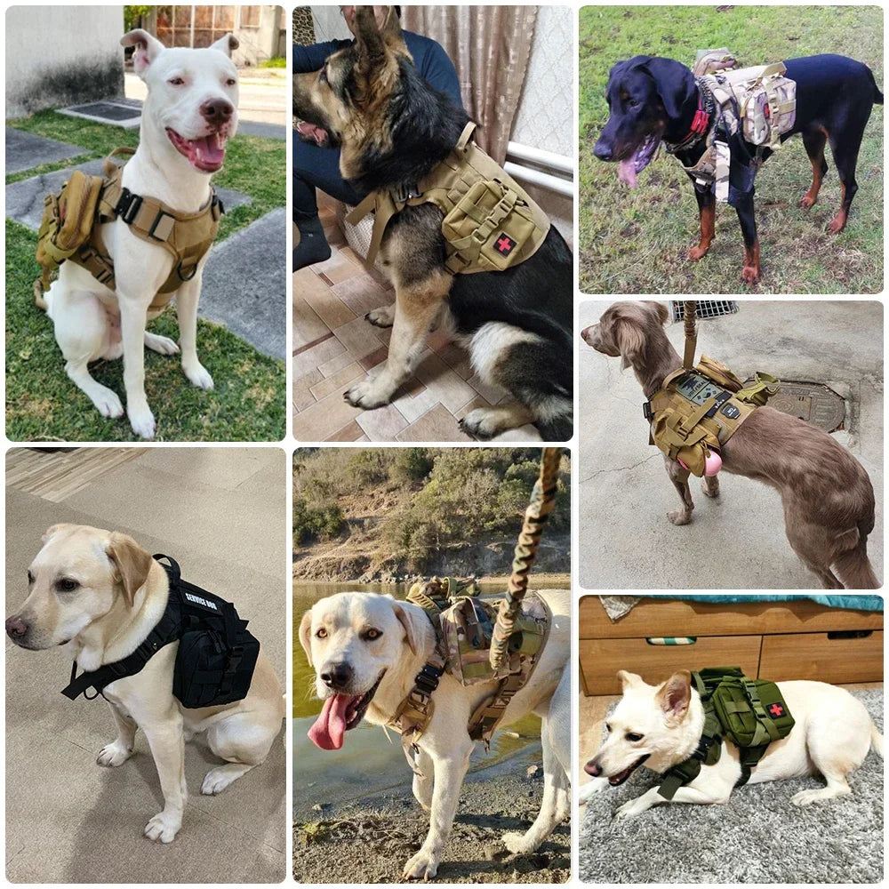 Tactical Big Dog Training Vest Set