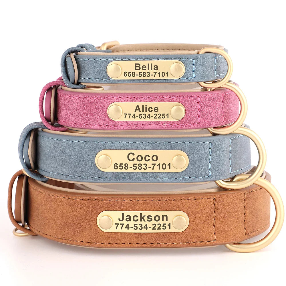 Engraved Leather Dog Collar  & Leash Set
