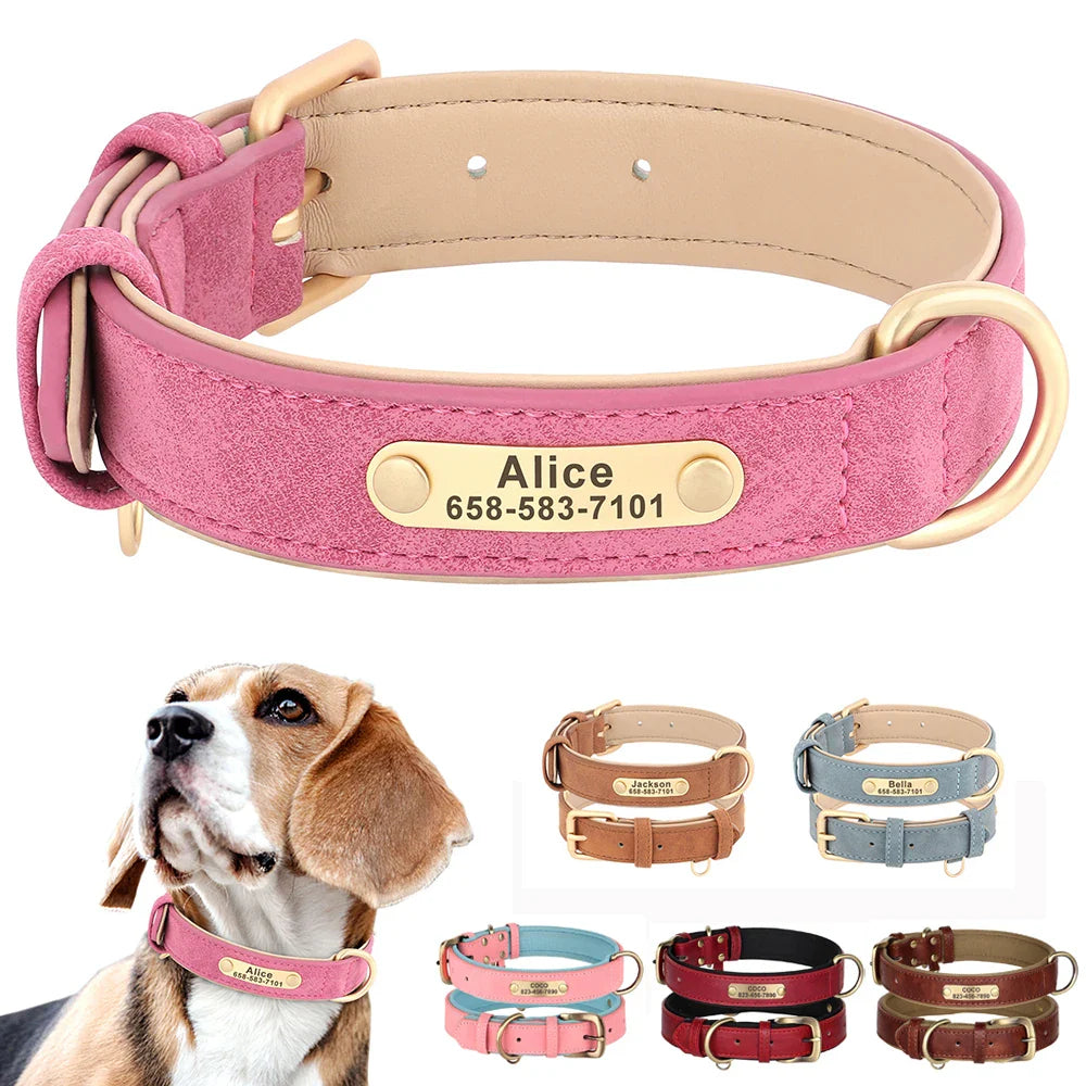 Engraved Leather Dog Collar  & Leash Set