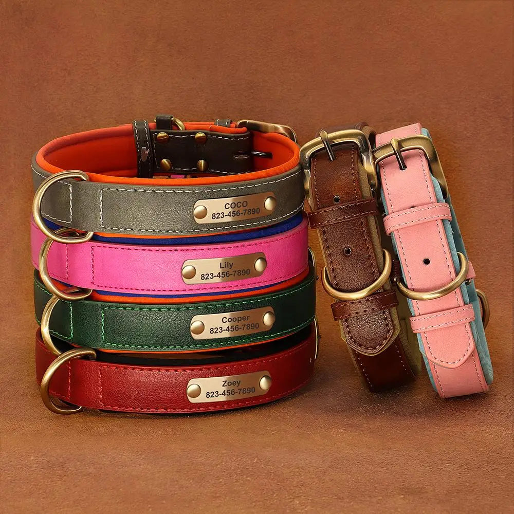 Engraved Leather Dog Collar  & Leash Set