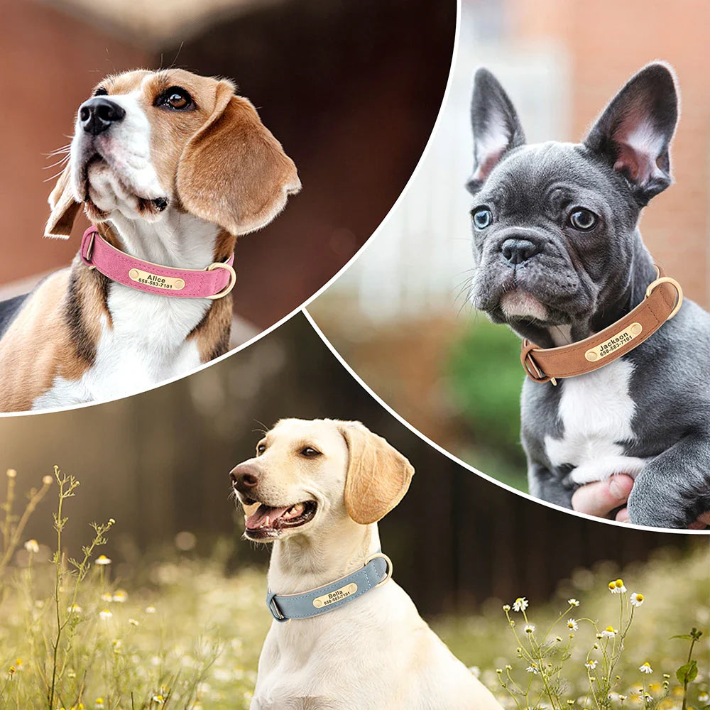 Engraved Leather Dog Collar  & Leash Set