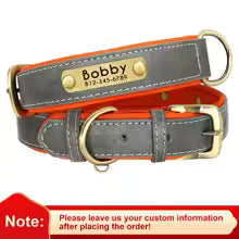 Engraved Comfort Dog Collar