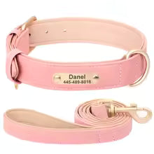 Engraved Leather Dog Collar  & Leash Set