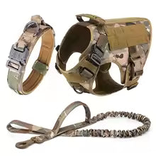 Tactical Big Dog Training Vest Set