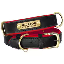Engraved Comfort Dog Collar