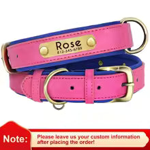 Engraved Comfort Dog Collar