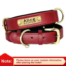 Engraved Comfort Dog Collar